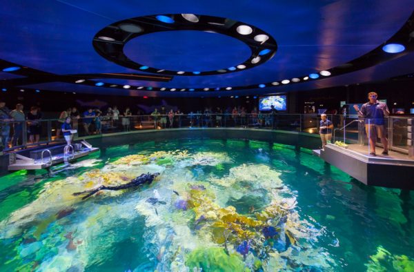 Commercial_Architects_9_Main_Giant_Ocean_Tank